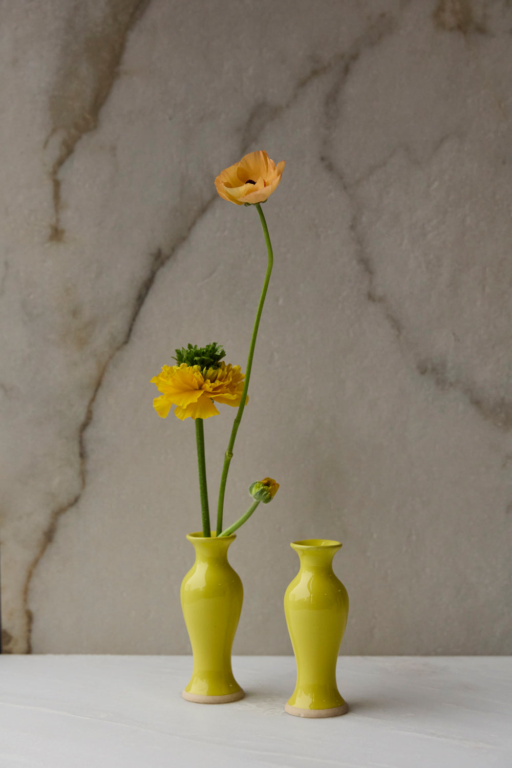 Chasing Rainbows Budvase Set of 8 By Accent Decor | Vases | Modishstore - 12