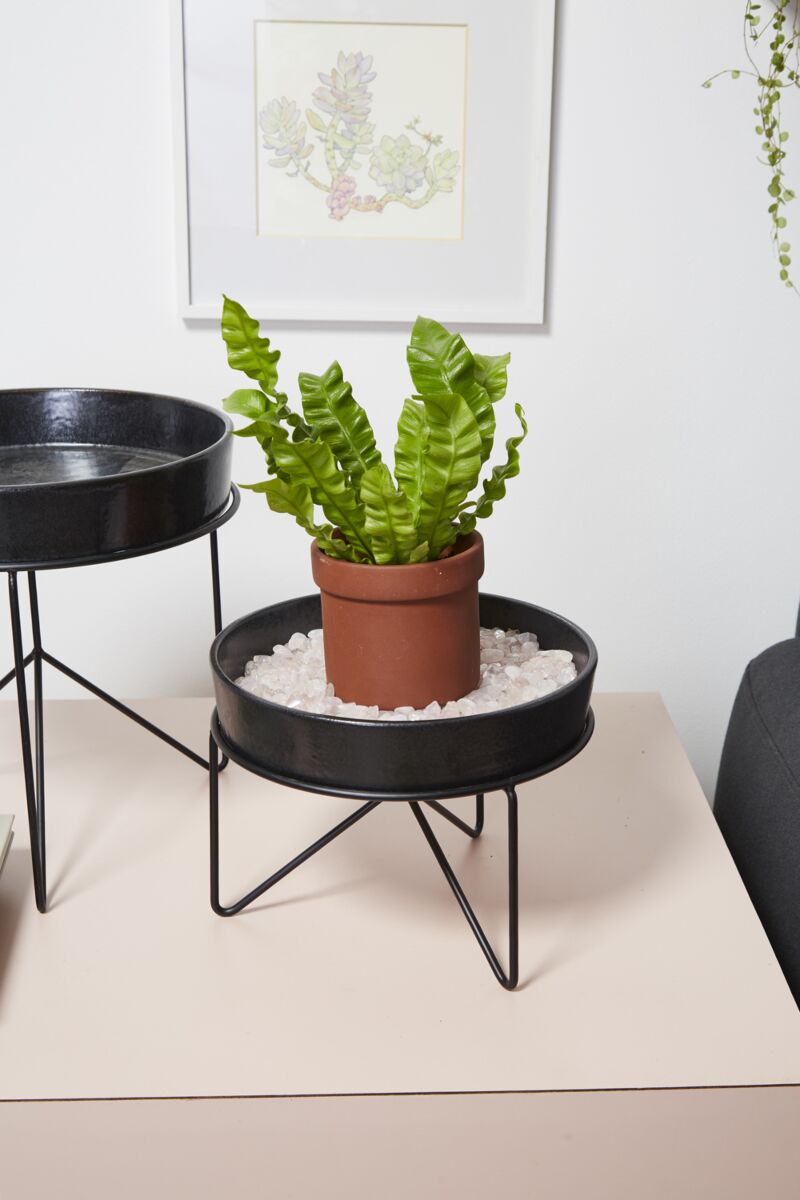 Encino Tray with Stand 10"x 7.75" By Accent Decor | Planters, Troughs & Cachepots | Modishstore - 2