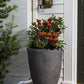 Roan Planter 28" x  37" By Accent Decor | Planters, Troughs & Cachepots | Modishstore - 1