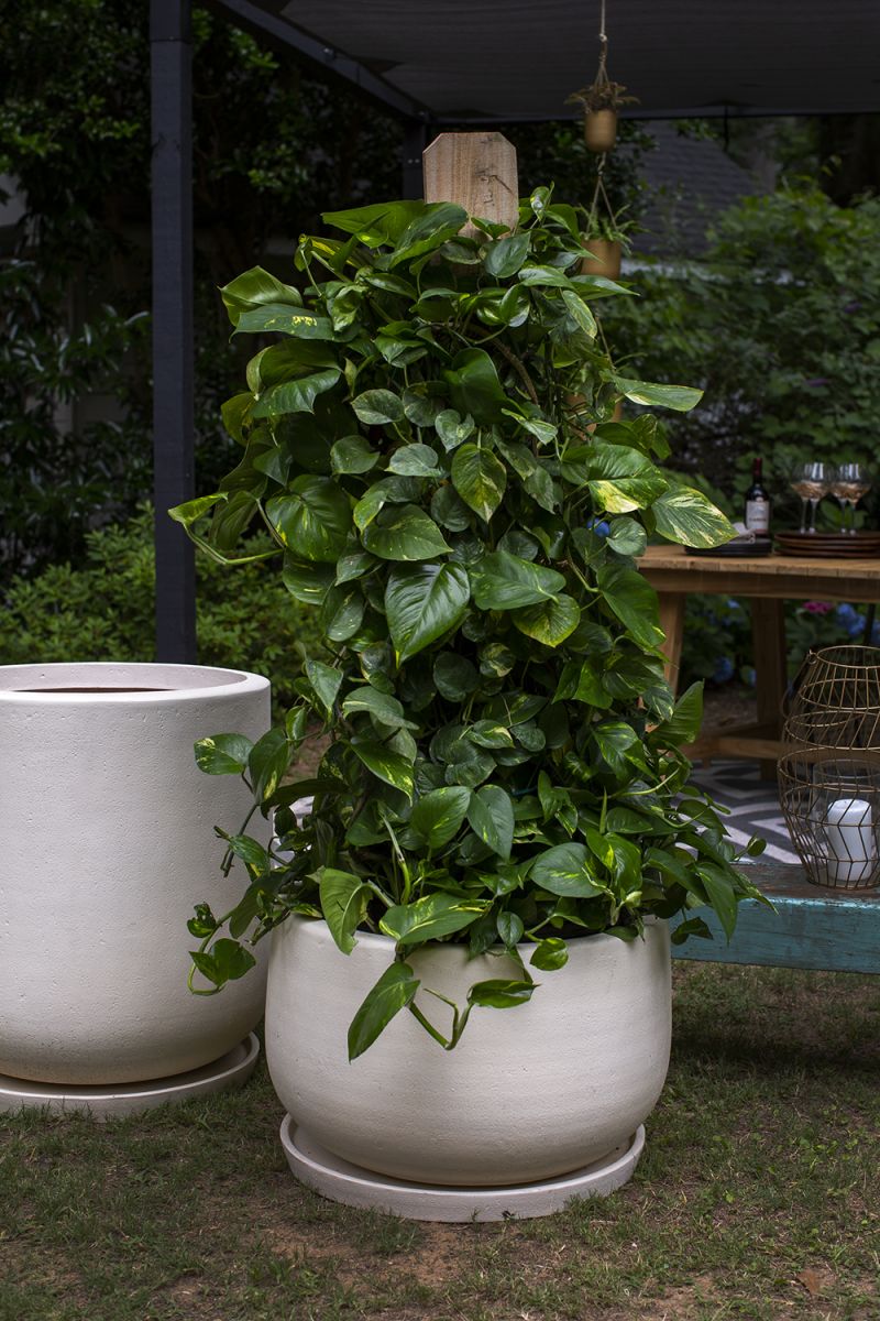 Kodiak Planter By Accent Decor | Outdoor Planters, Troughs & Cachepots | Modishstore - 8