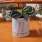 Los Feliz Pot with Saucer Set of 4 By Accent Decor | Stands | Modishstore - 14