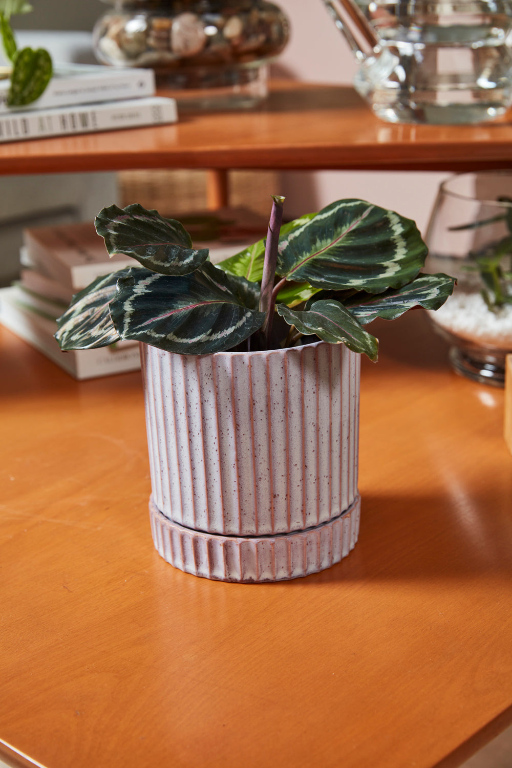 Los Feliz Pot with Saucer Set of 4 By Accent Decor | Stands | Modishstore - 14