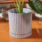 Los Feliz Pot with Saucer Set of 4 By Accent Decor | Stands | Modishstore - 12
