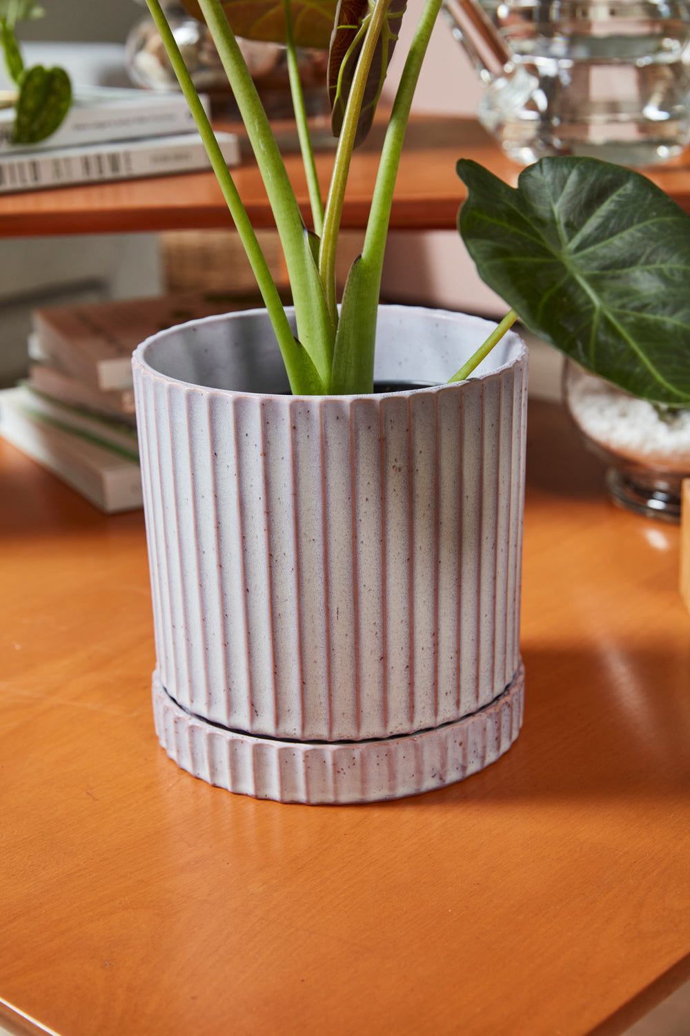 Los Feliz Pot with Saucer Set of 4 By Accent Decor | Stands | Modishstore - 12