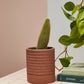 Bardo Pot with Saucer Set of 4 By Accent Decor | Planters, Troughs & Cachepots | Modishstore - 4