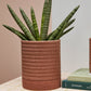 Bardo Pot with Saucer Set of 4 By Accent Decor | Planters, Troughs & Cachepots | Modishstore - 6