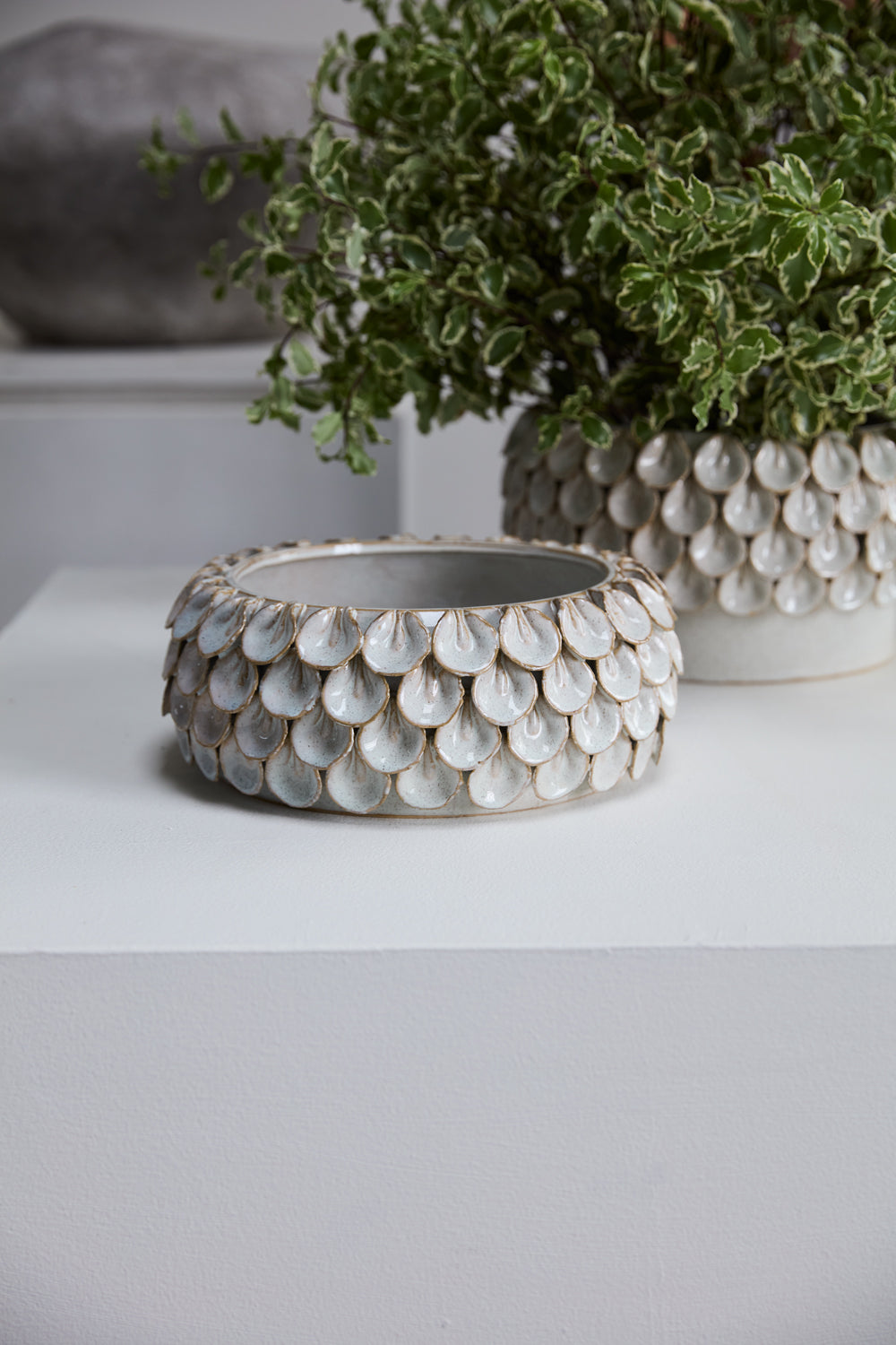 Mirabai Bowl By Accent Decor | Decorative Bowls | Modishstore - 4