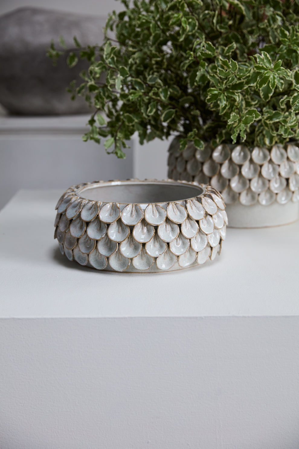 Mirabai Bowl By Accent Decor | Decorative Bowls | Modishstore - 4