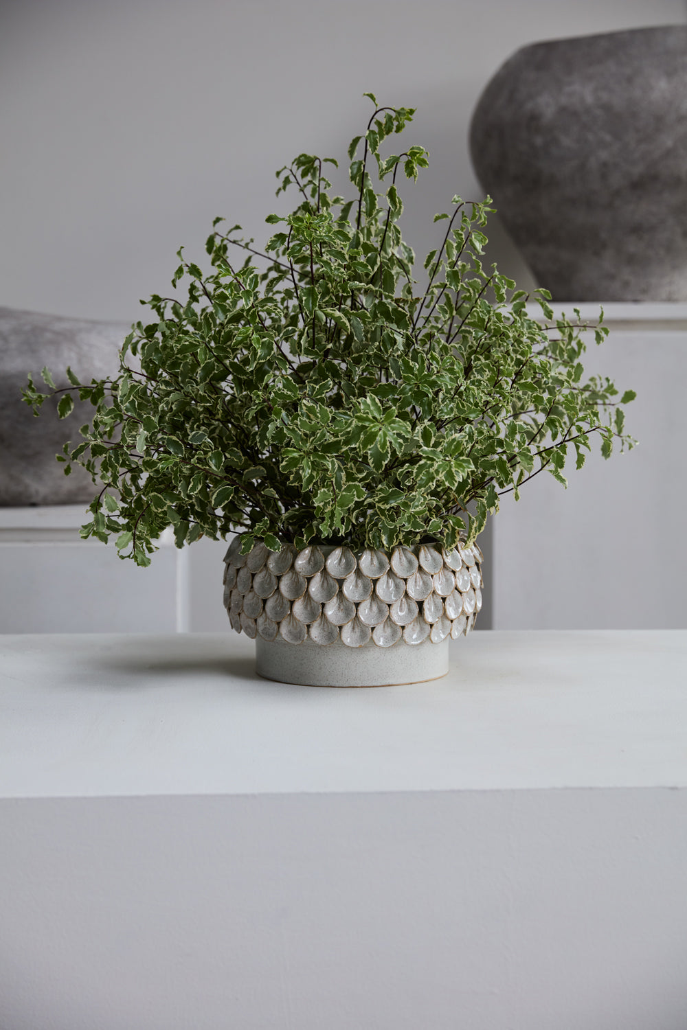 Mirabai Bowl By Accent Decor | Decorative Bowls | Modishstore - 6