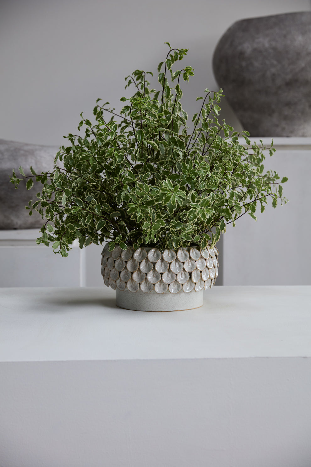 Mirabai Bowl By Accent Decor | Decorative Bowls | Modishstore - 6