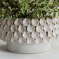Mirabai Bowl By Accent Decor | Decorative Bowls | Modishstore - 7