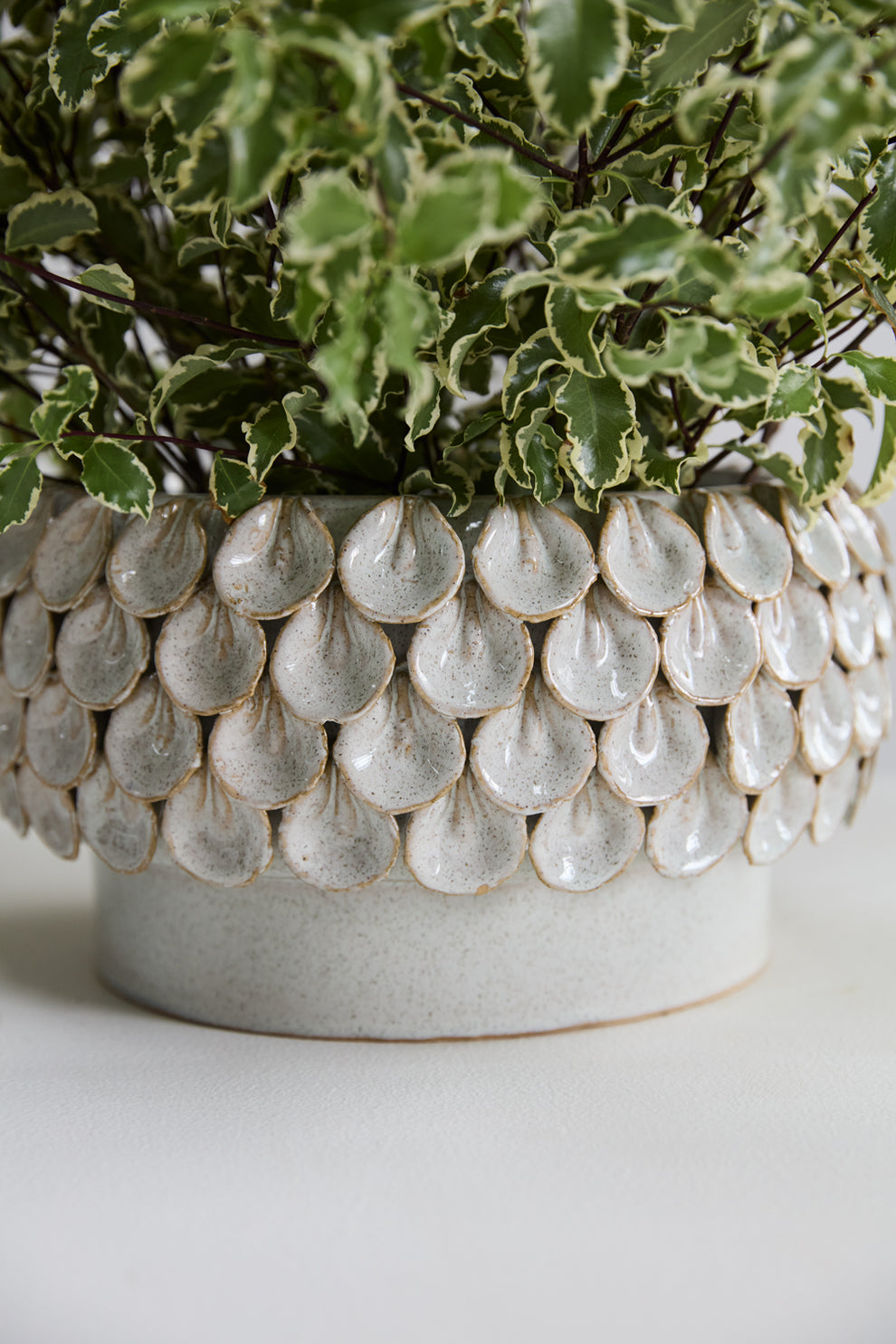 Mirabai Bowl By Accent Decor | Decorative Bowls | Modishstore - 7