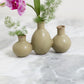 Thyme Budvase Set of 4 By Accent Decor | Vases | Modishstore - 4