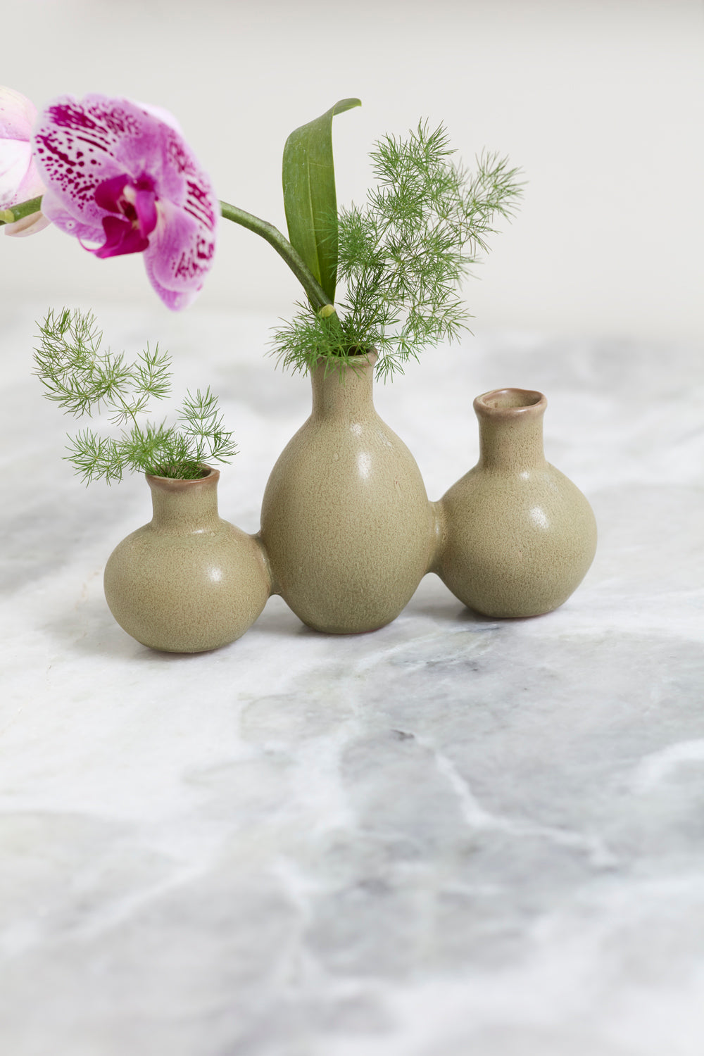 Thyme Budvase Set of 4 By Accent Decor | Vases | Modishstore - 4