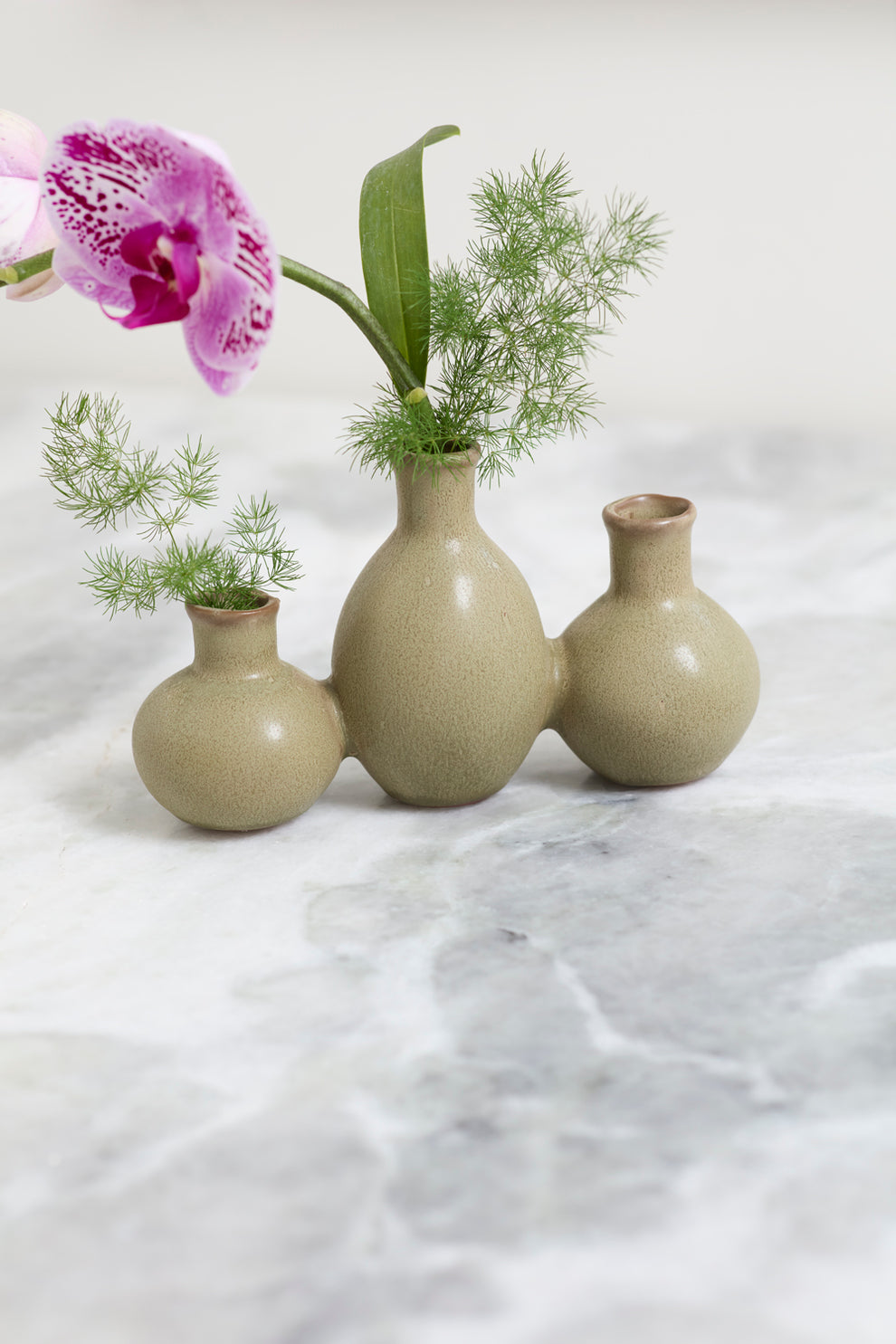 Thyme Budvase Set of 4 By Accent Decor | Vases | Modishstore - 4