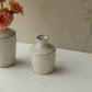 Hari Budvase Set of 8 By Accent Decor | Vases | Modishstore - 11