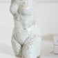 Anora Vase Set of 2 By Accent Decor | Vases | Modishstore - 7
