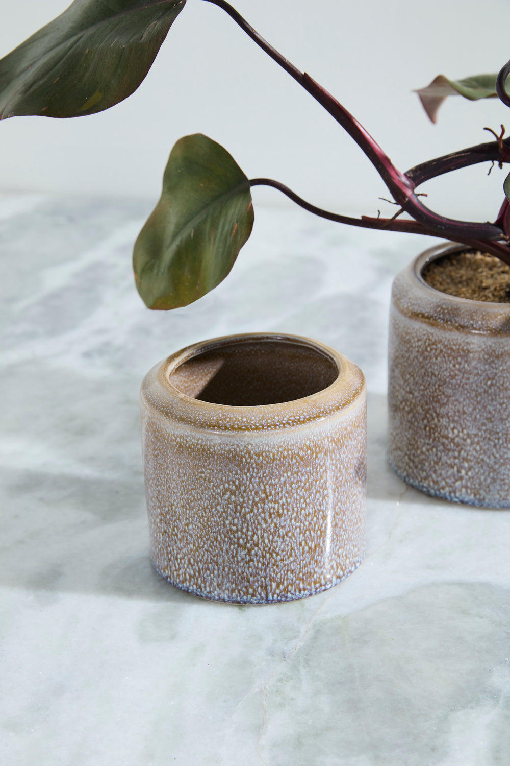 Arden Pot Set of 8 By Accent Decor | Wall Decor | Modishstore - 7