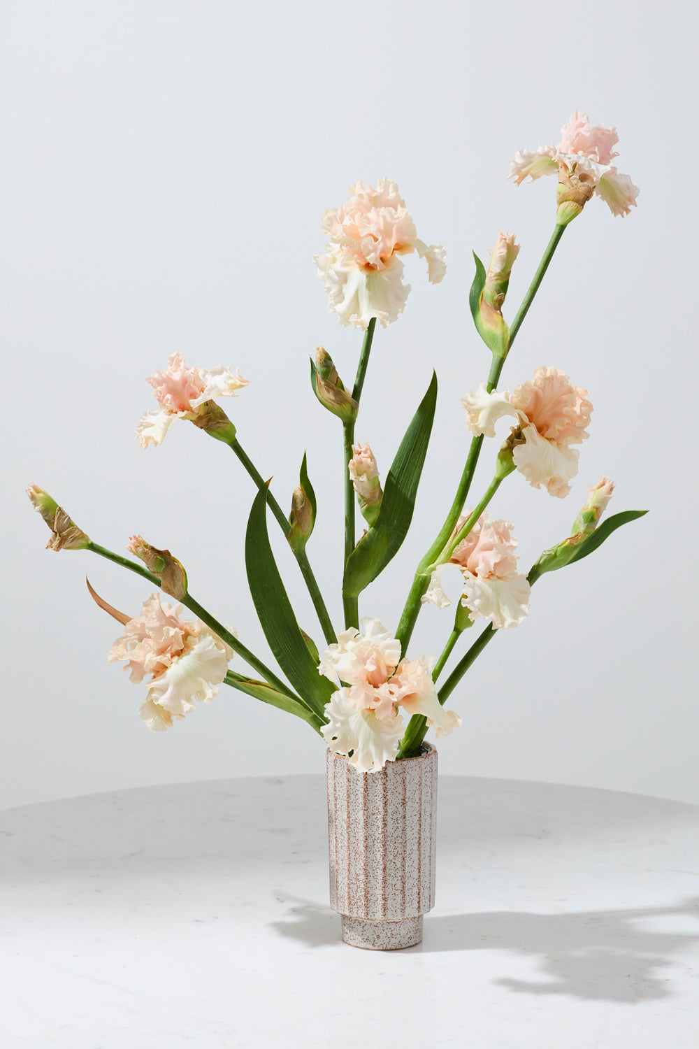 Corley Vase Set of 8 By Accent Decor | Vases | Modishstore - 6