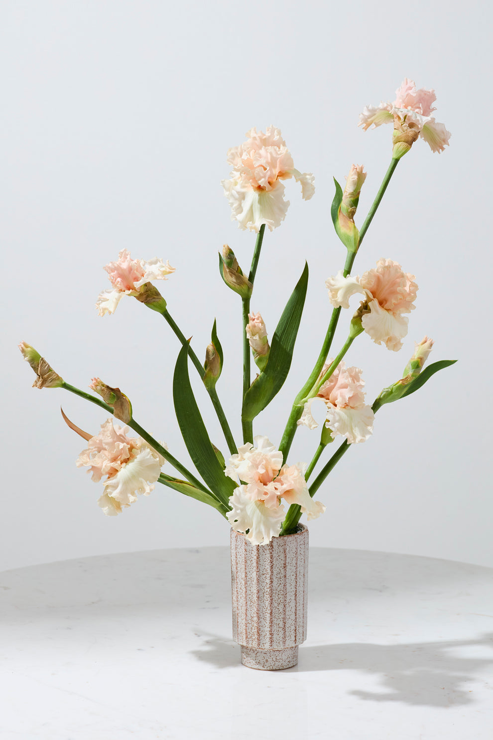 Corley Vase Set of 8 By Accent Decor | Vases | Modishstore - 6