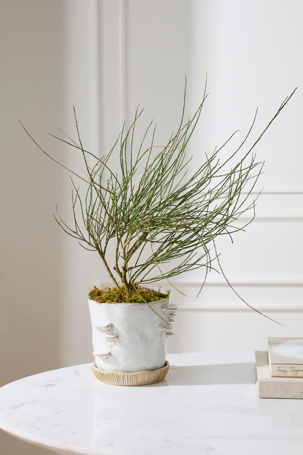 Stepped Mushroom Pot with Saucer Set of 2 By Accent Decor | Planters, Troughs & Cachepots | Modishstore - 9