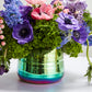Tegan Collection Set of 8 By Accent Decor | Planters, Troughs & Cachepots | Modishstore - 12
