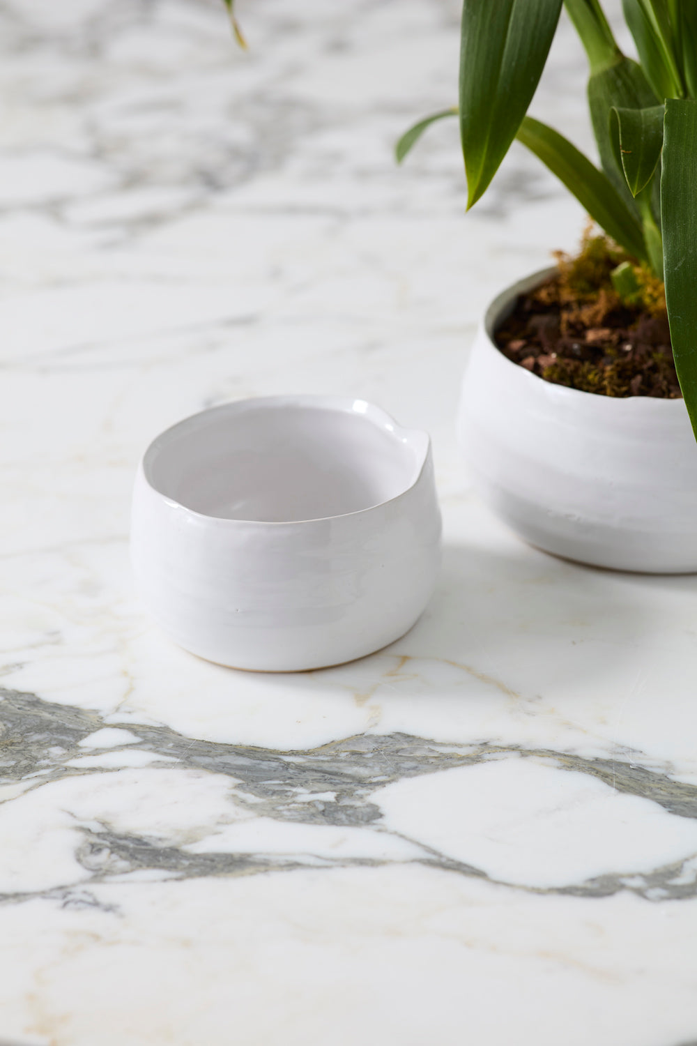 Tegan Bowl Set of 8 By Accent Decor | Decorative Bowls | Modishstore - 17