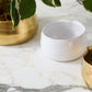 Tegan Bowl Set of 8 By Accent Decor | Decorative Bowls | Modishstore - 18