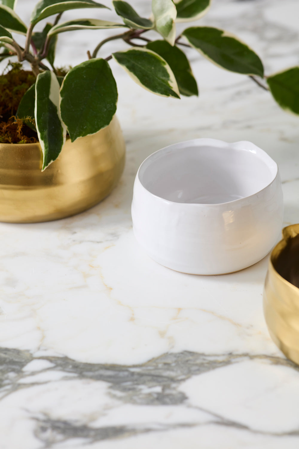 Tegan Bowl Set of 8 By Accent Decor | Decorative Bowls | Modishstore - 18