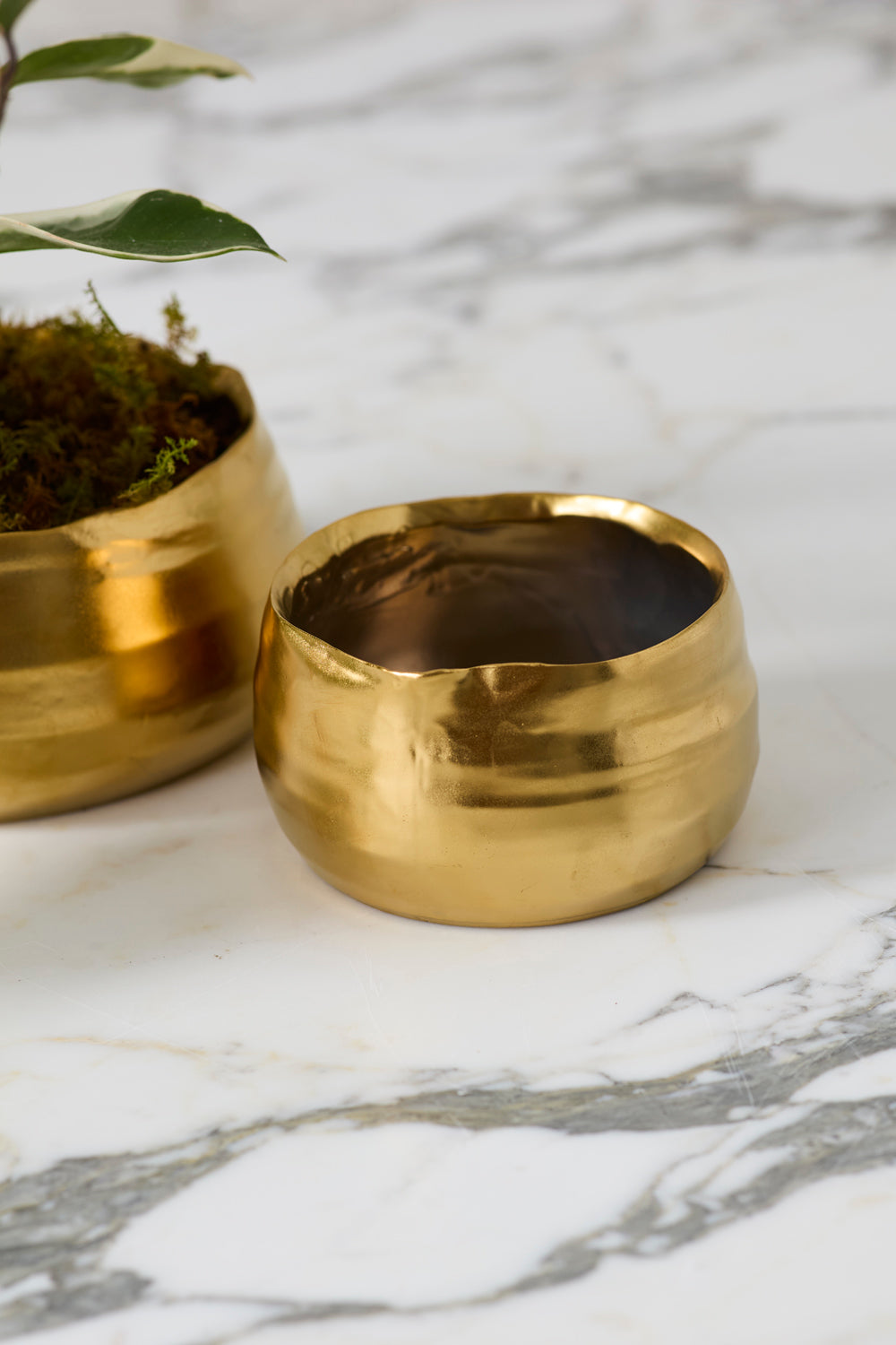 Tegan Bowl Set of 8 By Accent Decor | Decorative Bowls | Modishstore - 9
