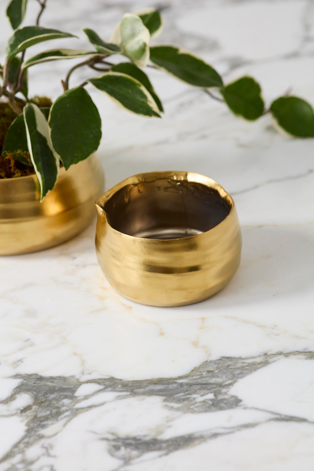 Tegan Bowl Set of 8 By Accent Decor | Decorative Bowls | Modishstore - 10