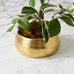 Tegan Bowl Set of 8 By Accent Decor | Decorative Bowls | Modishstore - 14