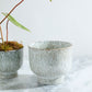 Hayden Pot Set of 2 By Accent Decor | Wall Decor | Modishstore - 8