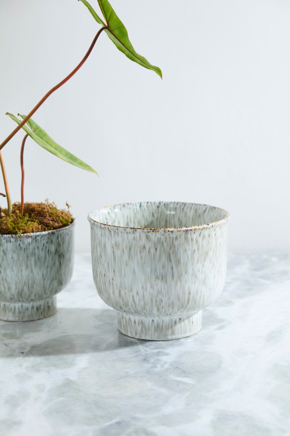 Hayden Pot Set of 2 By Accent Decor | Wall Decor | Modishstore - 8