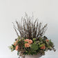 Winnie Compote Set of 2 By Accent Decor | Planters, Troughs & Cachepots | Modishstore - 9