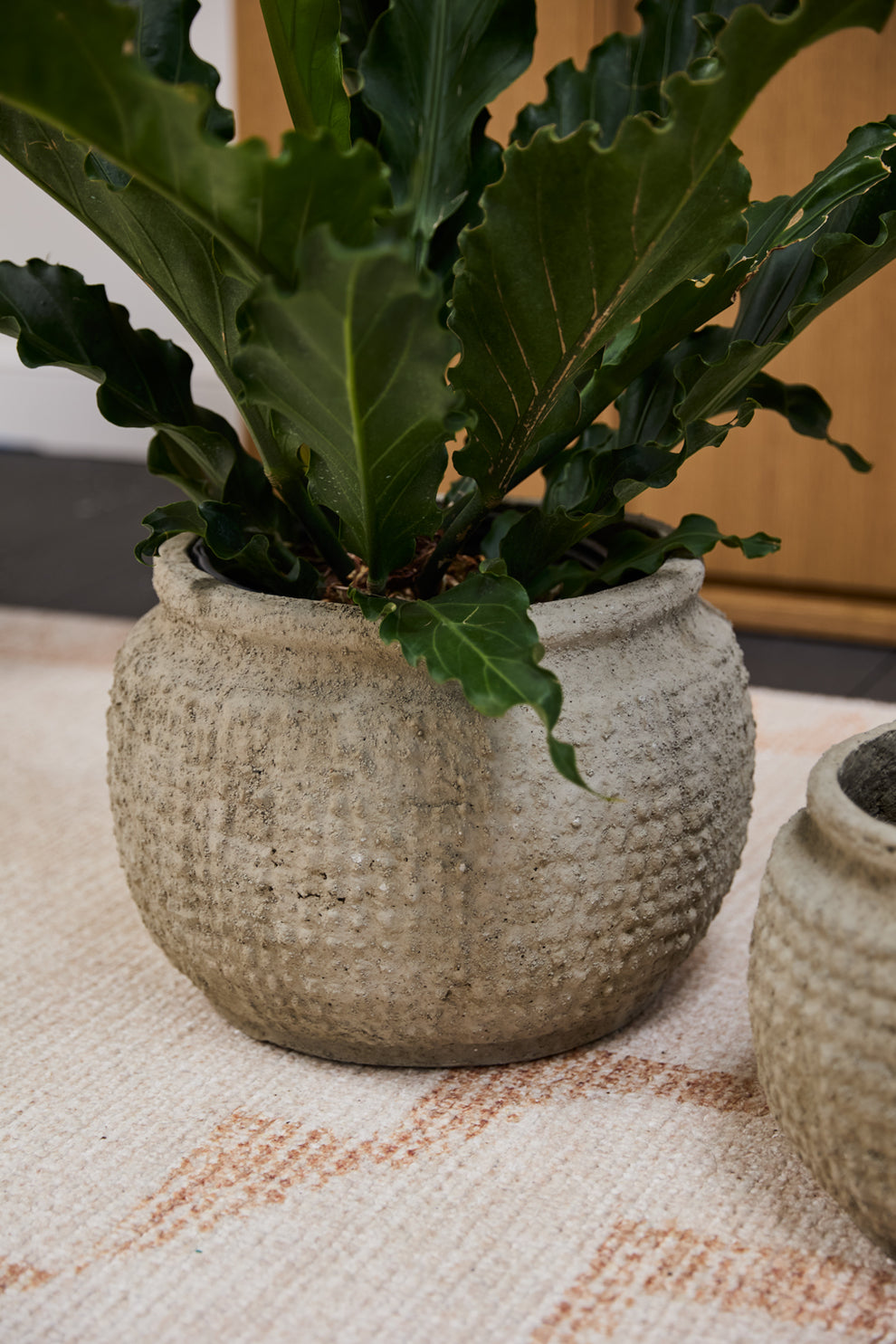 Kemble Pot By Accent Decor | Planters, Troughs & Cachepots | Modishstore - 11