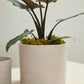 Fulton Pot Set of 8 By Accent Decor | Planters, Troughs & Cachepots | Modishstore - 27