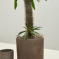 Fulton Pot Set of 8 By Accent Decor | Planters, Troughs & Cachepots | Modishstore - 15