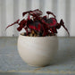 Astrid Pot Set of 4 By Accent Decor | Planters, Troughs & Cachepots | Modishstore - 13