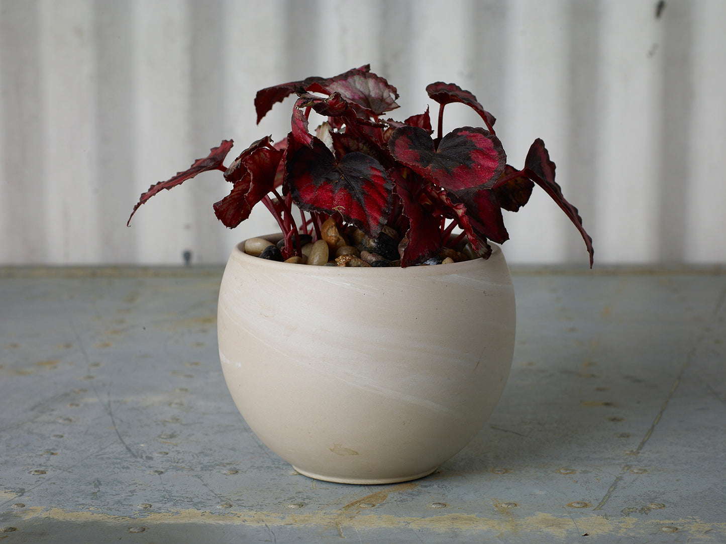 Astrid Pot Set of 4 By Accent Decor | Planters, Troughs & Cachepots | Modishstore - 13