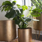 Juneau Pot Collection By Accent Decor | Planters, Troughs & Cachepots | Modishstore - 10