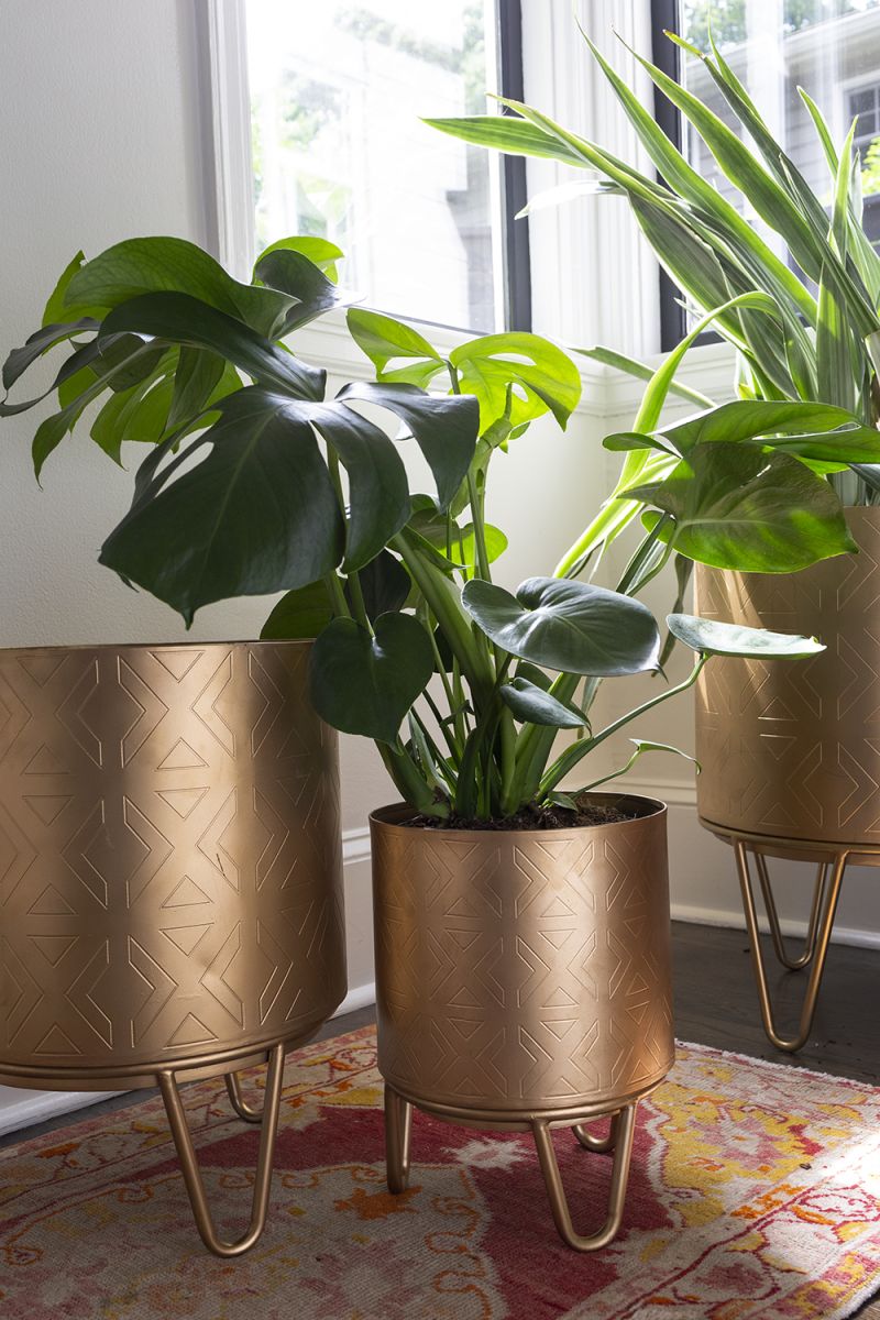 Juneau Pot Collection By Accent Decor | Planters, Troughs & Cachepots | Modishstore - 10