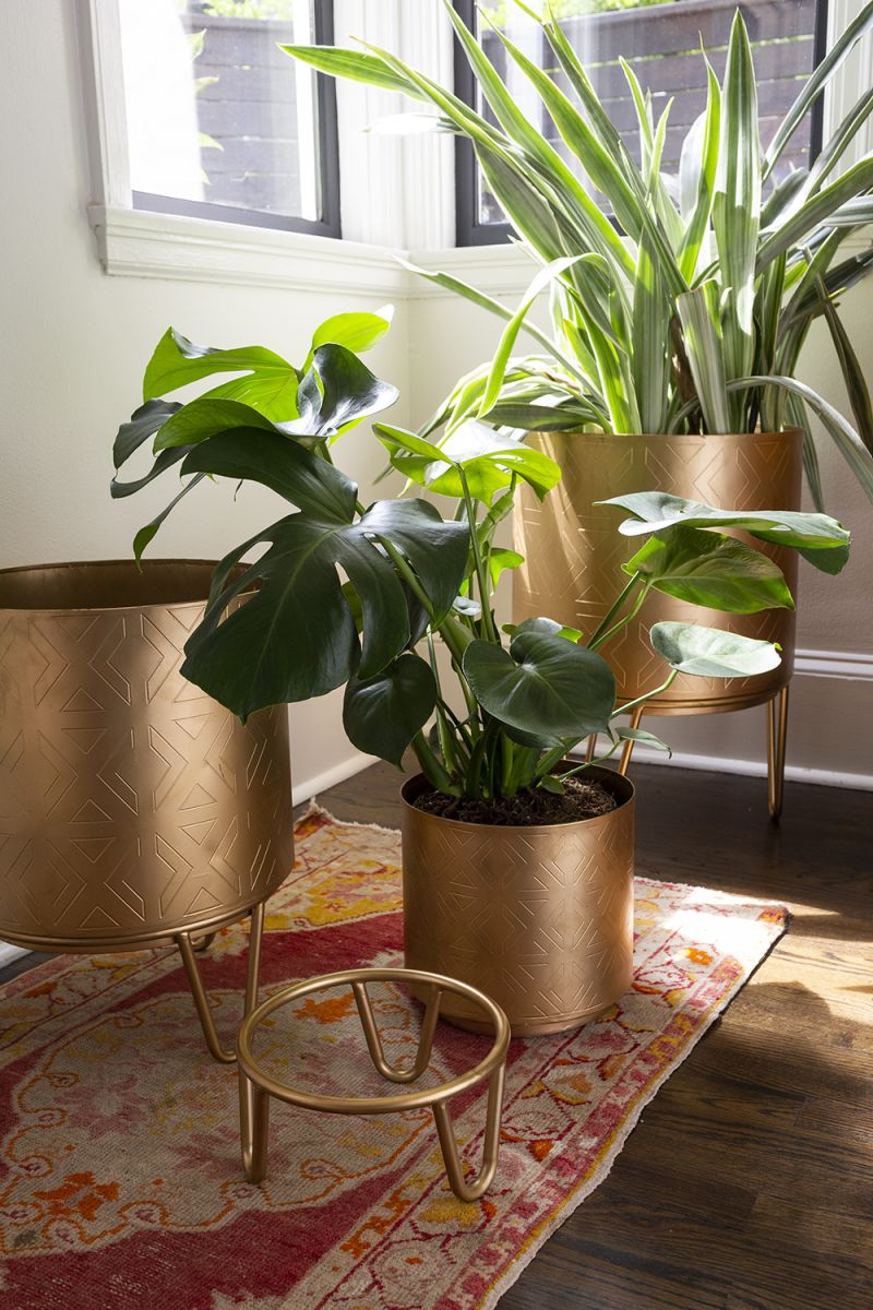 Juneau Pot Collection By Accent Decor | Planters, Troughs & Cachepots | Modishstore - 9