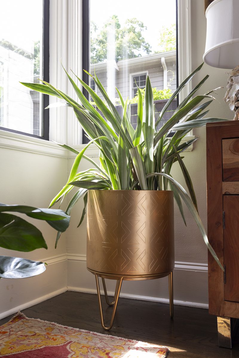 Juneau Pot Collection By Accent Decor | Planters, Troughs & Cachepots | Modishstore - 6