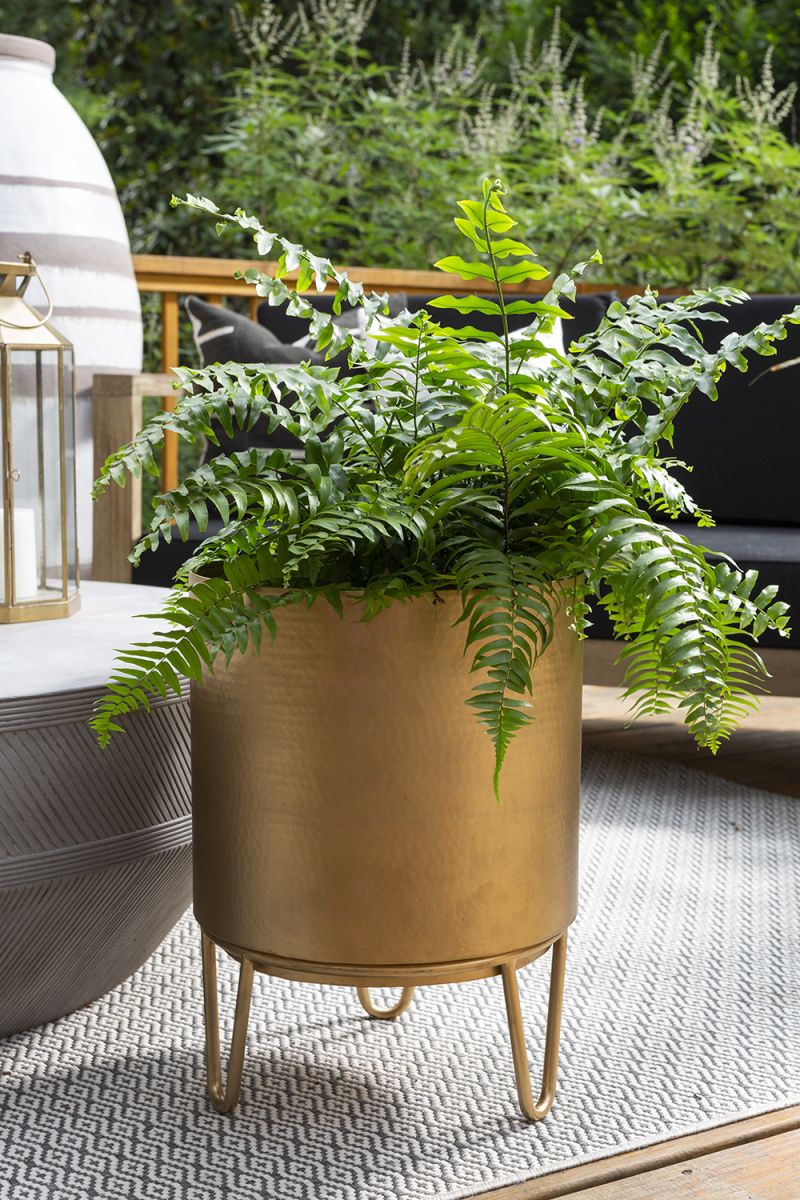 Juneau Pot Collection By Accent Decor | Planters, Troughs & Cachepots | Modishstore - 15