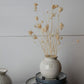 Page Vase Set of 8 By Accent Decor | Vases | Modishstore - 8
