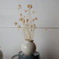 Page Vase Set of 8 By Accent Decor | Vases | Modishstore - 9