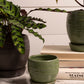 Bradford Pot Set of 8 By Accent Decor | Planters, Troughs & Cachepots | Modishstore - 6