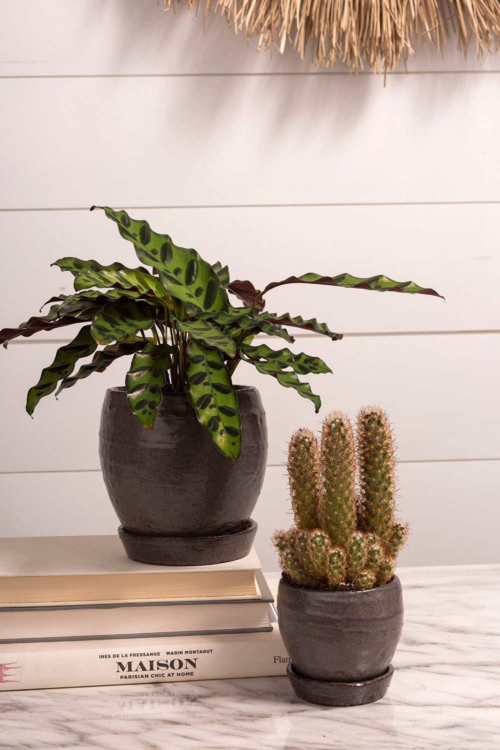 Bradford Pot Set of 8 By Accent Decor | Planters, Troughs & Cachepots | Modishstore - 9