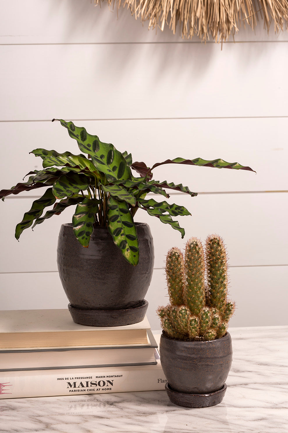 Bradford Pot Set of 8 By Accent Decor | Planters, Troughs & Cachepots | Modishstore - 9